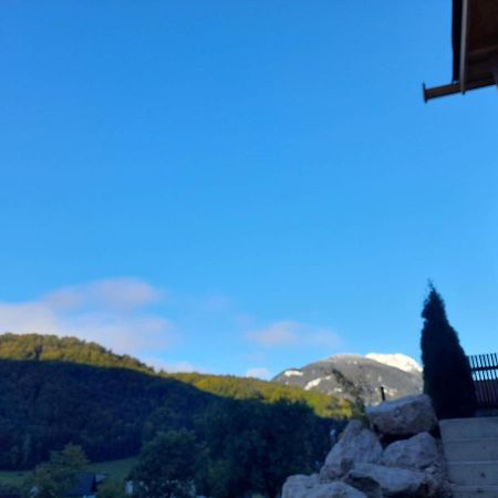 Auszeit Am Weinbuehel Lejlighed Bad Ischl Eksteriør billede