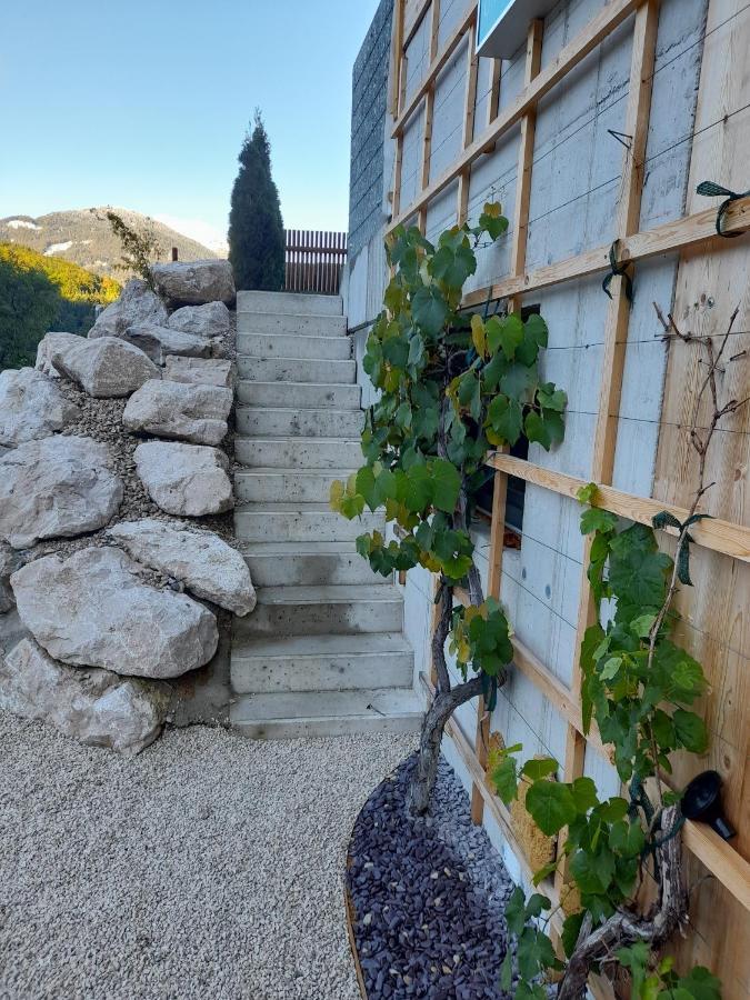 Auszeit Am Weinbuehel Lejlighed Bad Ischl Eksteriør billede