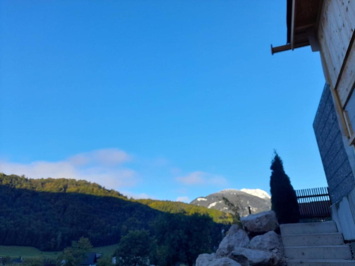 Auszeit Am Weinbuehel Lejlighed Bad Ischl Eksteriør billede