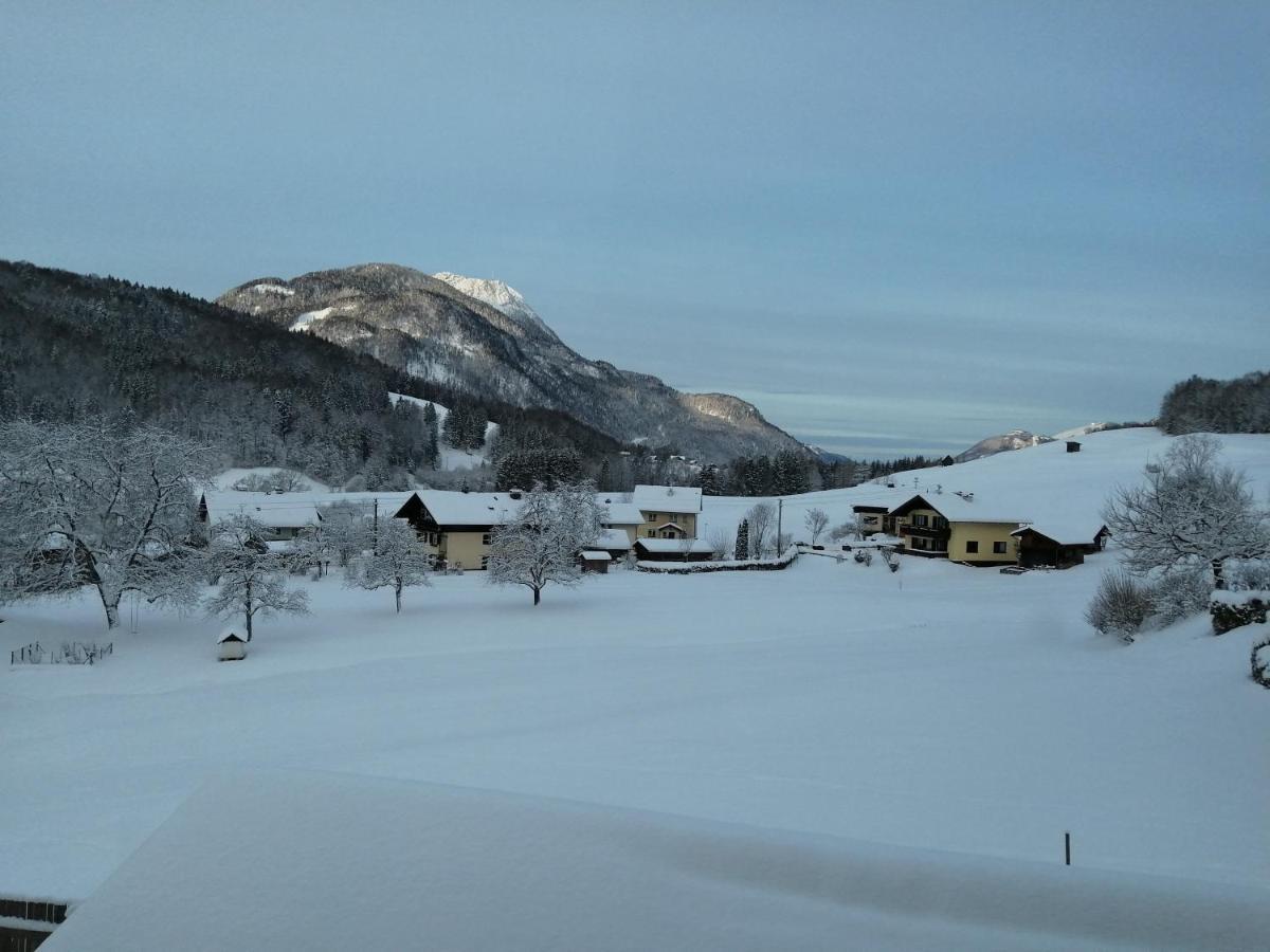 Auszeit Am Weinbuehel Lejlighed Bad Ischl Eksteriør billede
